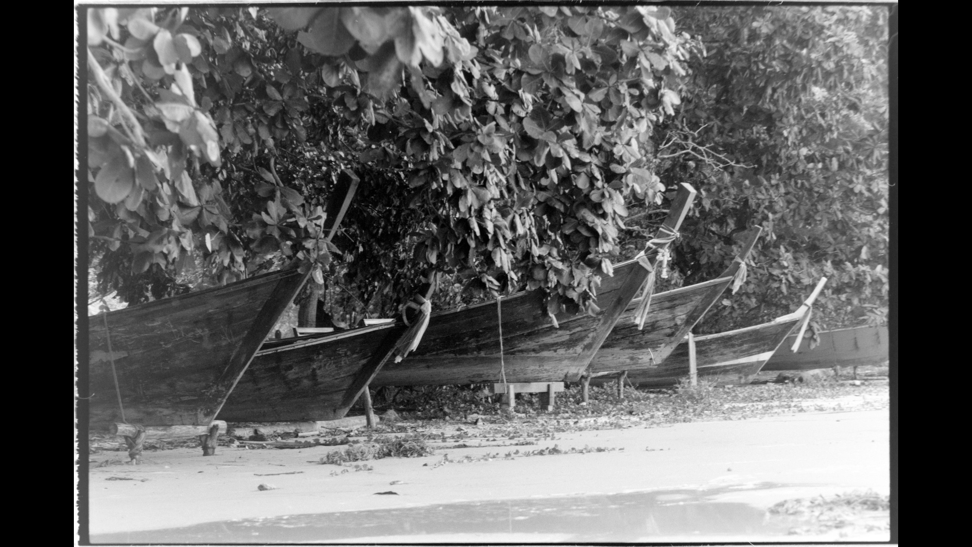 Photo Reference No: FPL01979